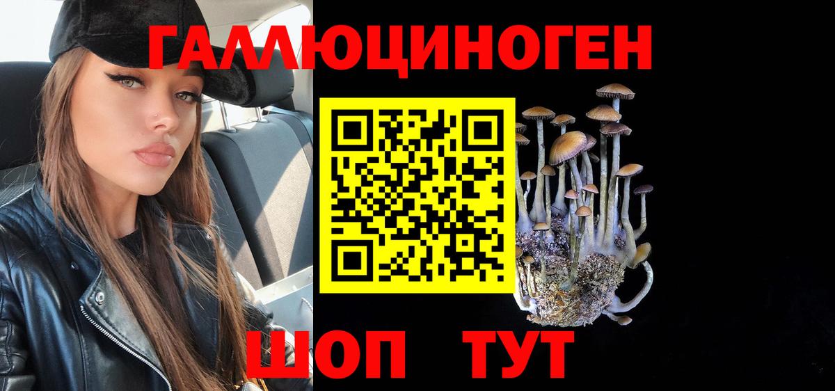 Галлюциногенные грибы GOLDEN TEACHER Пугачёв
